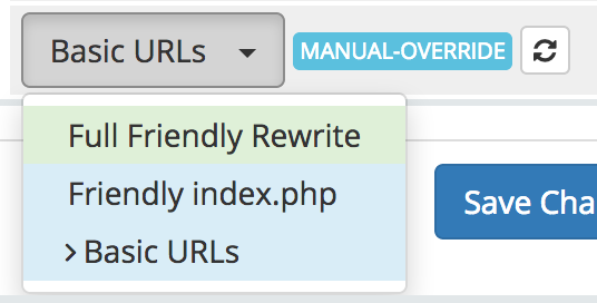 Friendly Url Simple Mode Select.png